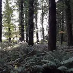 Meadowbrook