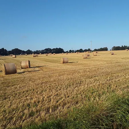 Meadowbrook アパート *