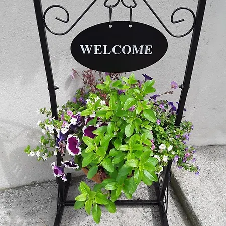 Meadowbrook アパート