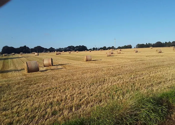 Meadowbrook Apartment *